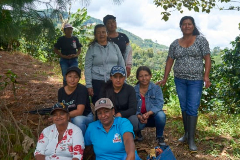 Colombia El Tambo, Cauca (Women Producers)