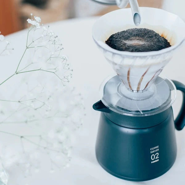Hario Dripper V60-02 Clear