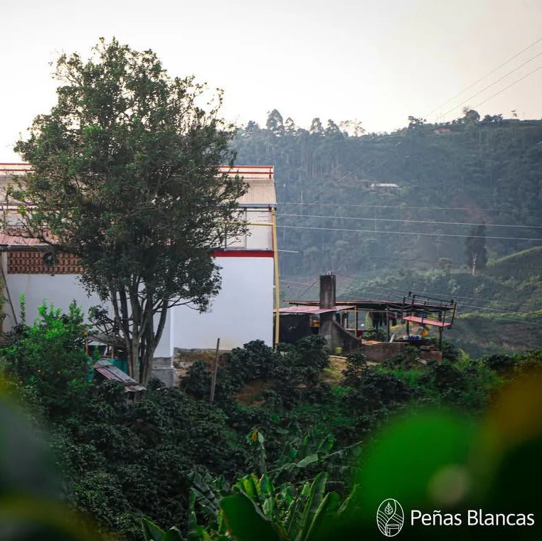 Colombia Huila